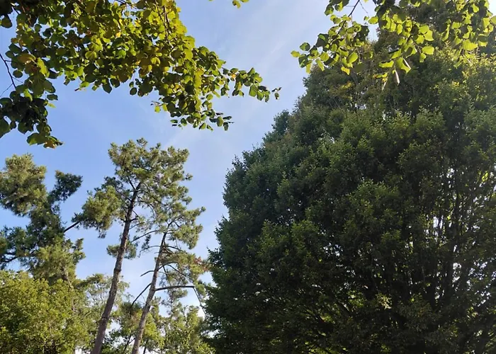 La Parent'aise * パランティ・アン・ボルヌ